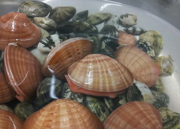 马尔海港住宿加早餐旅馆